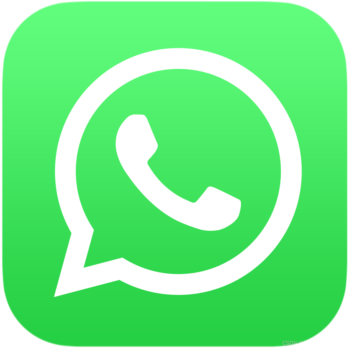 whatsapp群组大全